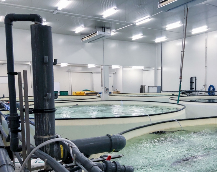 圓形養(yǎng)殖池